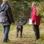 Jugendbeurteilung A-Wurf in Kropp (mit Video)