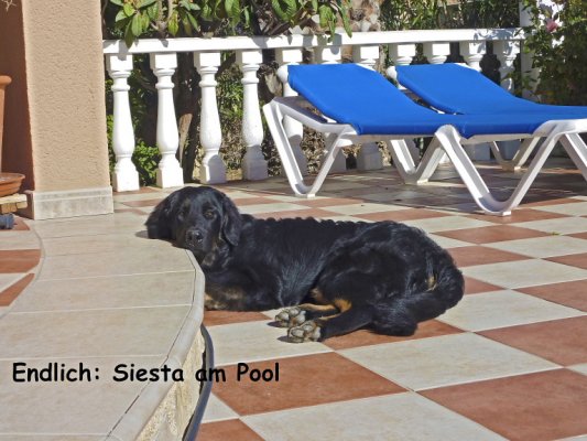 Siesta am Pool