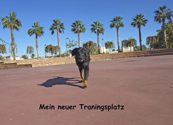 Mein neuer Traningsplatz