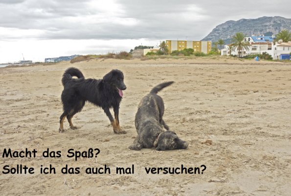 Macht das Spass?