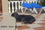 Siesta am Pool