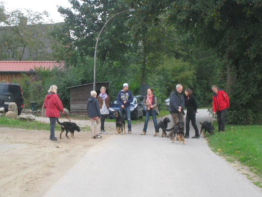 22-09-2013welpentreffen-pohlsee-39