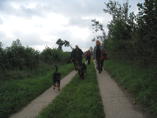 22-09-2013welpentreffen-pohlsee-41