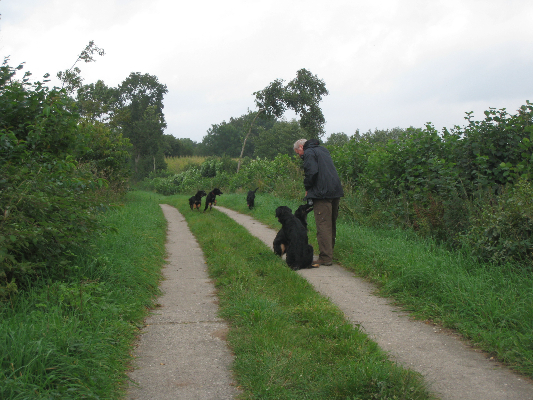 22-09-2013welpentreffen-pohlsee-44