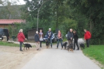 22-09-2013welpentreffen-pohlsee-39