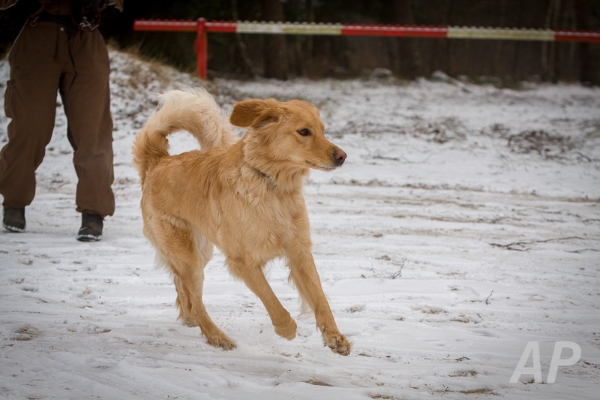 pohlsee_20140125_015