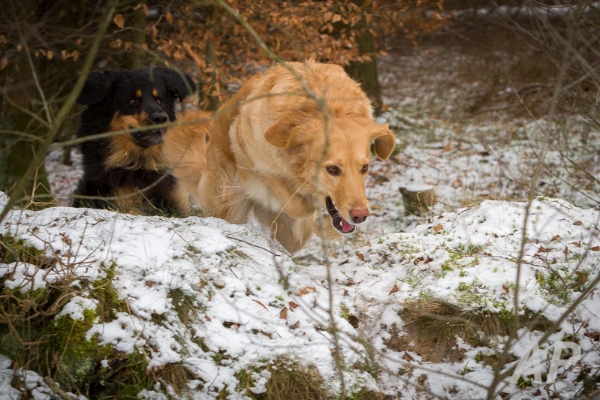 pohlsee_20140125_044