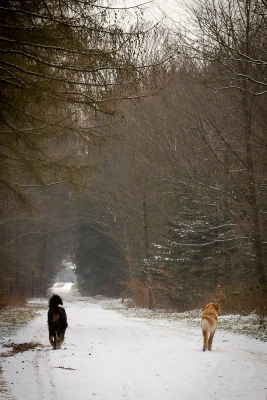 pohlsee_20140125_115