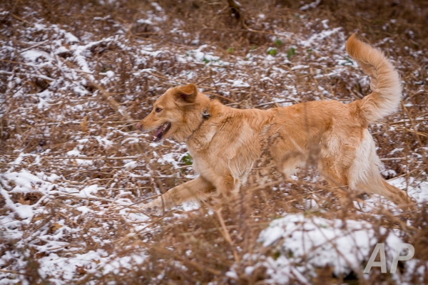 pohlsee_20140125_128