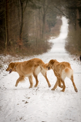 pohlsee_20140125_130