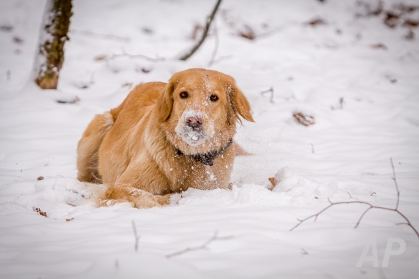 pohlsee_20140126_008