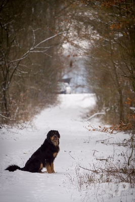 pohlsee_20140126_049