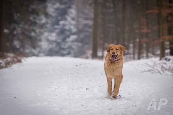 pohlsee_20140126_064