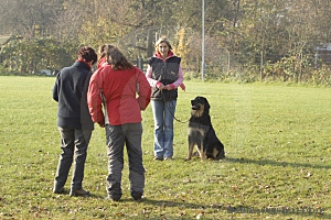 zuchtschau_11-11-12_017