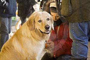 zuchtschau_11-11-12_279