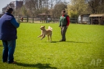 nzb_13-04-21_062