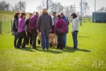 nzb_13-04-21_088
