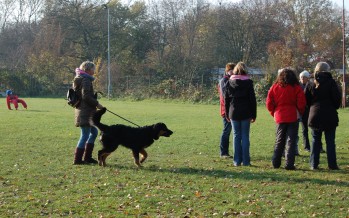 Nachzuchtbeurteilung