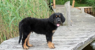 Branco at home zum Zweiten