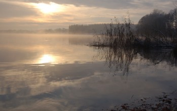 Winterspaziergang