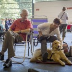 Abenteuer Hundeausstellung