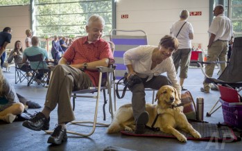 Abenteuer Hundeausstellung