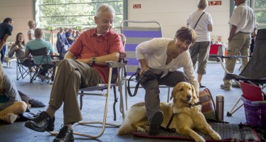 Abenteuer Hundeausstellung