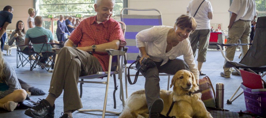 Abenteuer Hundeausstellung