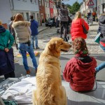 Blicka geht arbeiten