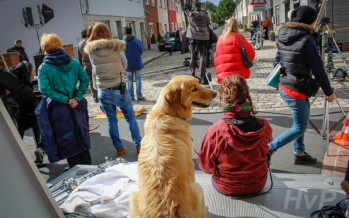 Blicka geht arbeiten