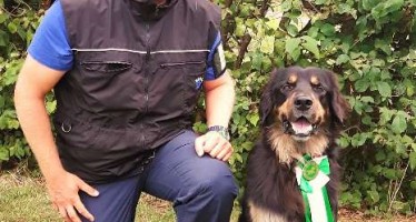Drago räumt ab