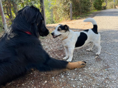 Erster Flirt